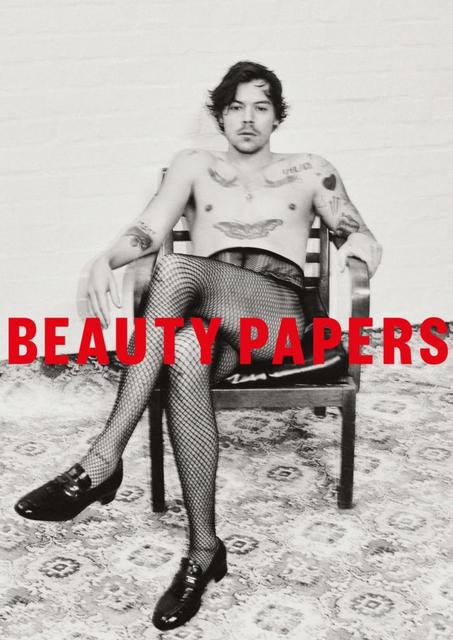 harry-styles-posters-beauty-papers-harry-styles-poster