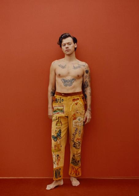 harry-styles-posters-art-pant-harry-styles-poster