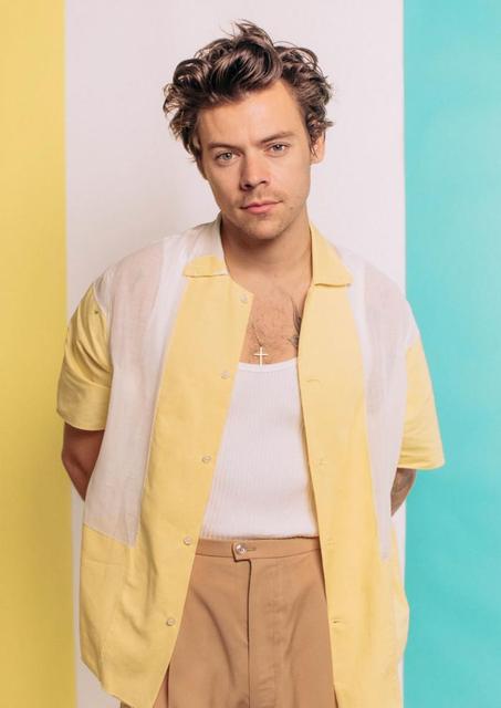 harry-styles-posters-summer-vibes-harry-styles-poster
