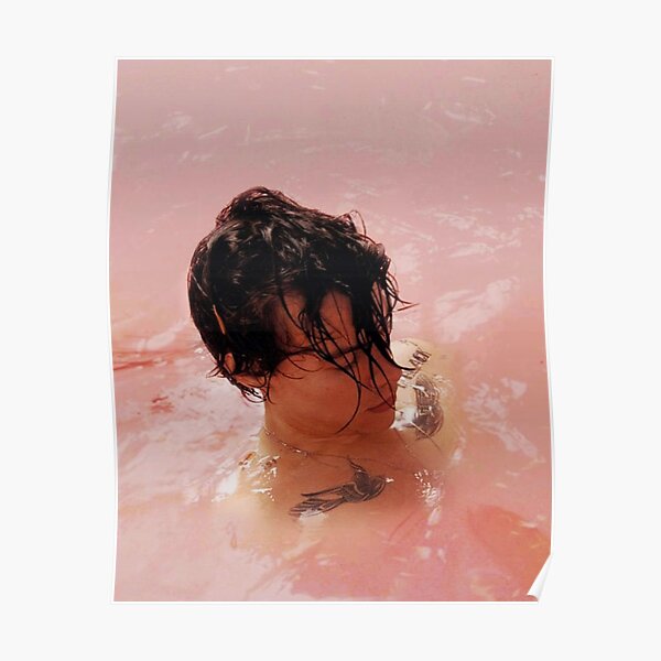 on waters harry pink Poster RB2103 product Offical harry styles Merch